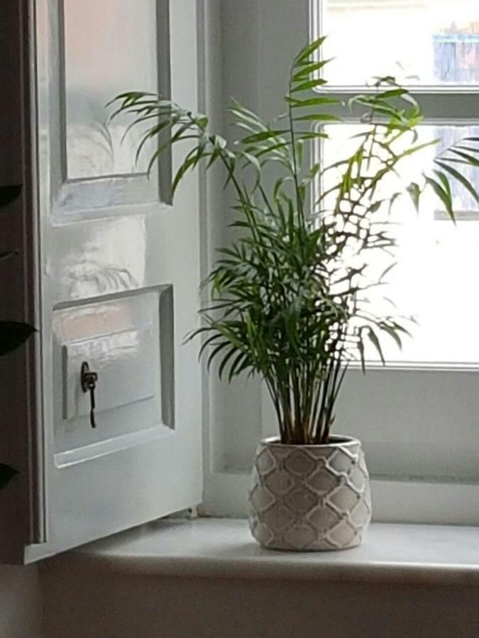 Pensjonat Hydra Memories House Zewnętrze zdjęcie